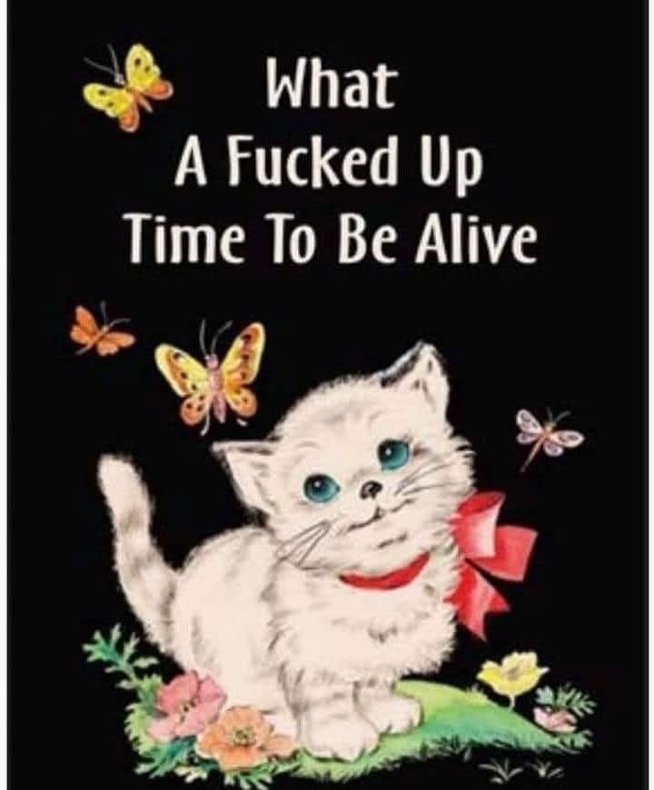 Struggle meals and budgeting tips part&nbsp;2