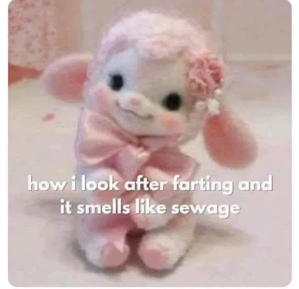 Shit Show Update Part&nbsp;3