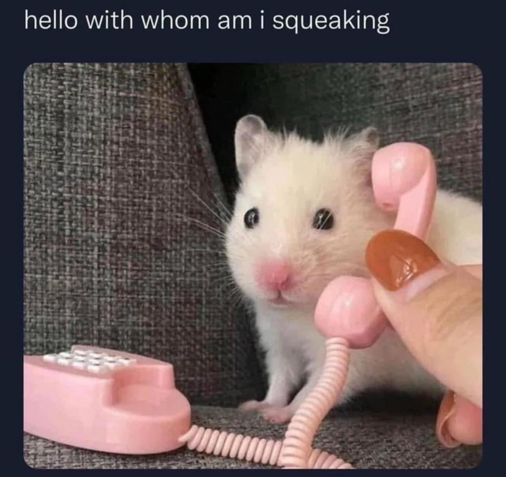 Failures I Made Owning a Small Business part&nbsp;4